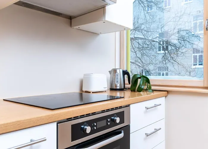 2br, Parking Included, Wi-fi, Next To Old Town Apartment Tallinn